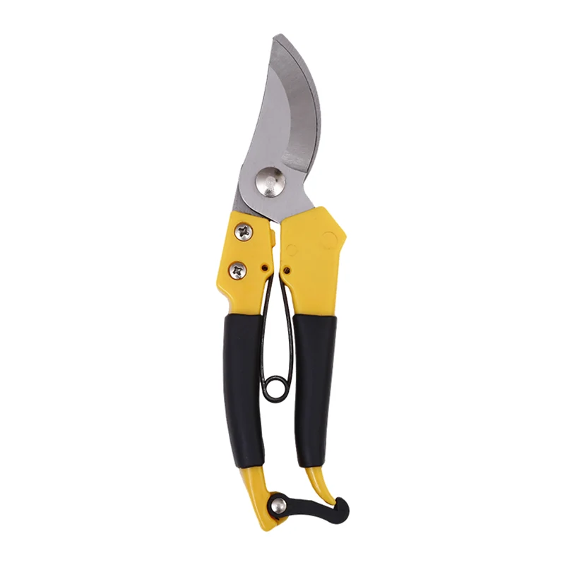 Outils de jardin élagage des ciseaux