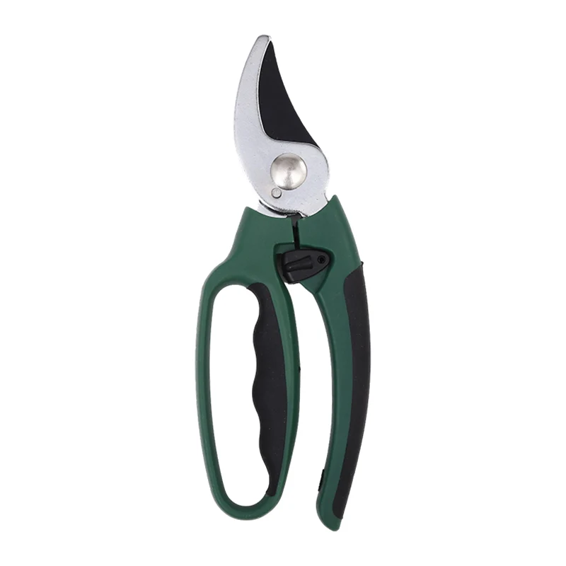Outils de jardin élagage des cisaillements