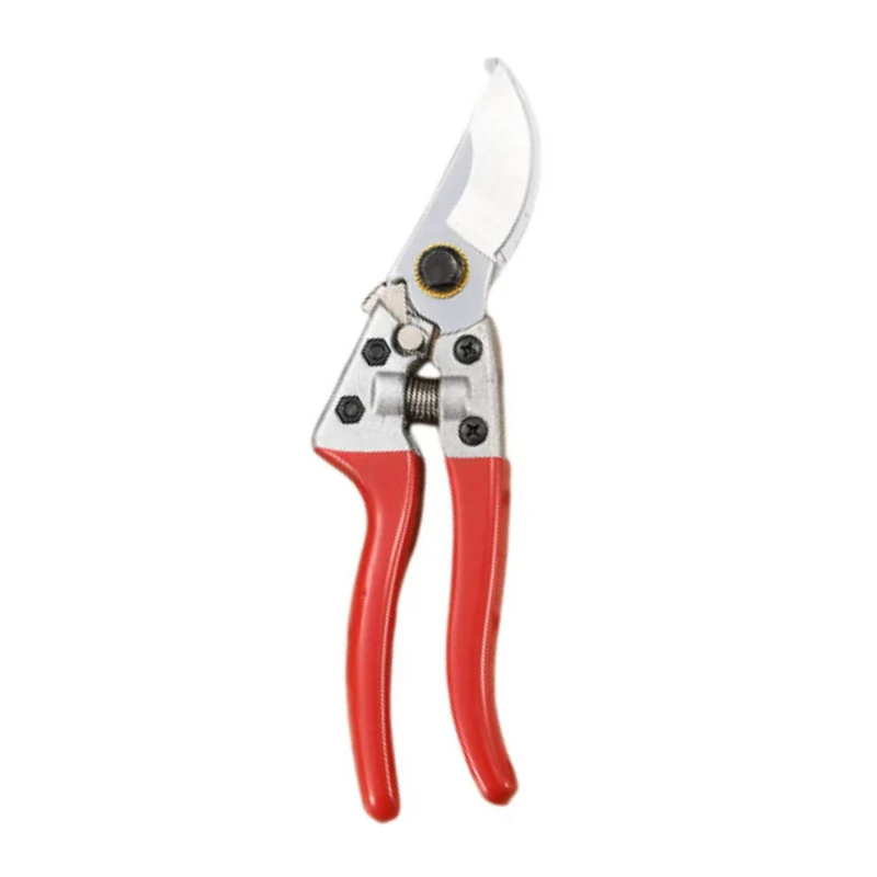 Cisaillements d'élagage pour le jardin